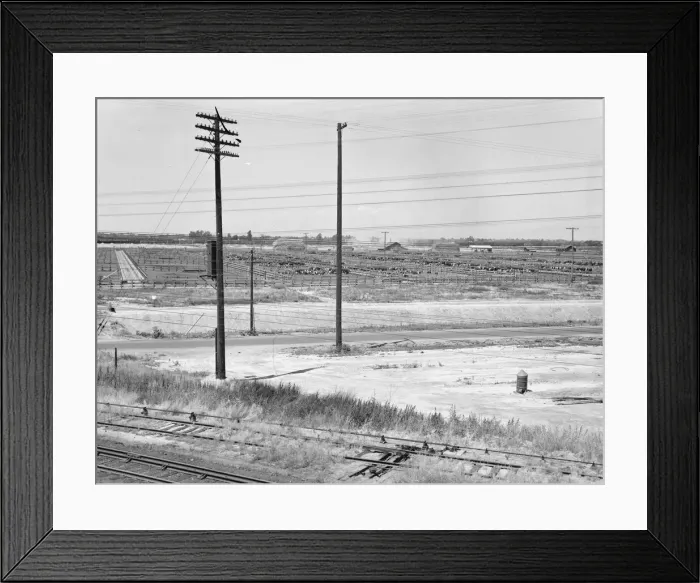 Framed Print : Stockyards seen from overpass, Between Tulare and Fresno, California, 1939. Creator: Dorothea Lange Framed Print : Stockyards seen from overpass, Between Tulare and Fresno, California, 1939. Creator: Dorothea Lange