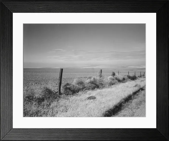 Framed Print : West wheat country in a region where yields are over twenty five... Umatilla County, Oregon, 1939. Creator: Dorothea Lange Framed Print : West wheat country in a region where yields are over twenty five... Umatilla County, Oregon, 1939. Creator: Dorothea Lange