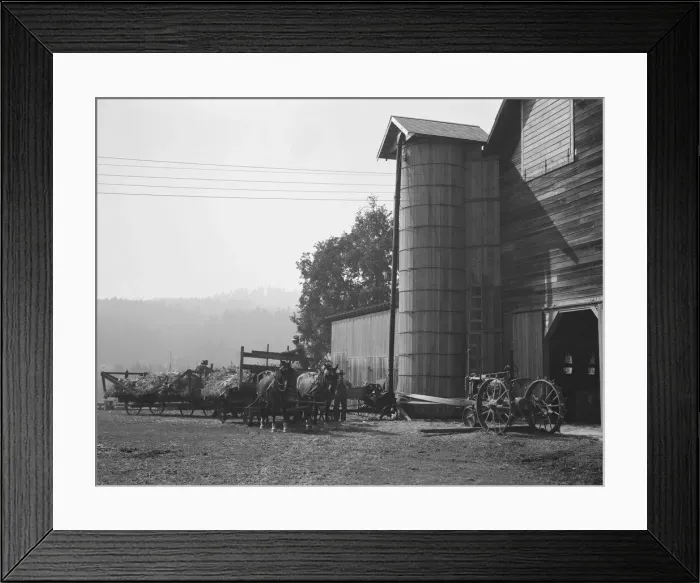 Framed Print : Yard of one of the eight cooperating farmers... near West Carlton, Yamhill Country, Oregon, 1939. Creator: Dorothea Lange Framed Print : Yard of one of the eight cooperating farmers... near West Carlton, Yamhill Country, Oregon, 1939. Creator: Dorothea Lange
