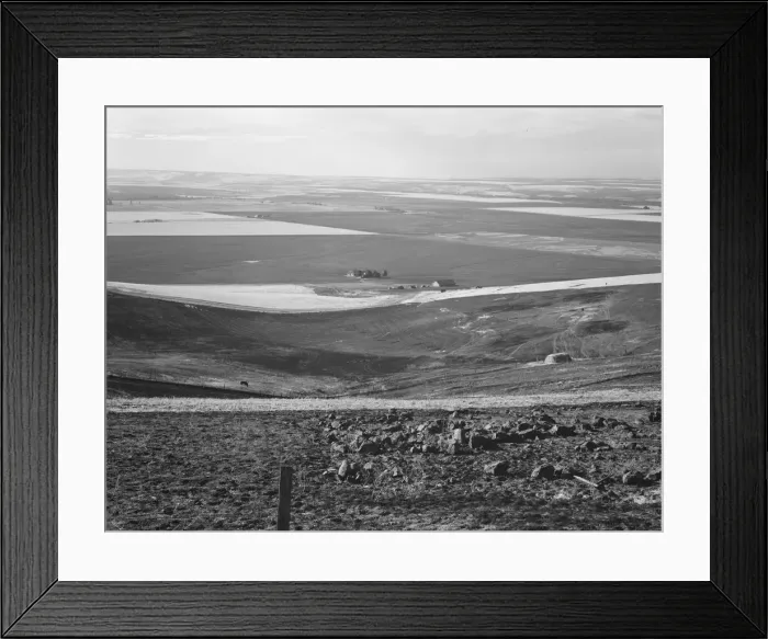 Framed Print : Looking down the newly plowed wheat fields of the Umatilla Valley, Oregon, 1939. Creator: Dorothea Lange Framed Print : Looking down the newly plowed wheat fields of the Umatilla Valley, Oregon, 1939. Creator: Dorothea Lange