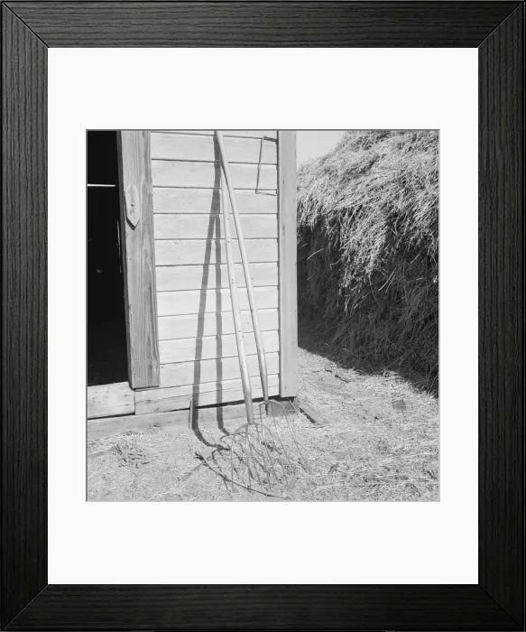 Framed Print : Hay forks, Northern Oregon farm, Morrow County, Oregon, 1939. Creator: Dorothea Lange Framed Print : Hay forks, Northern Oregon farm, Morrow County, Oregon, 1939. Creator: Dorothea Lange