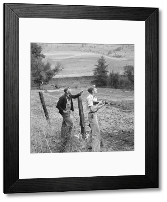 Framed Print : Farmer and boy in the fall of the year at the time the hunting... Jackson County, Oregon, 1939. Creator: Dorothea Lange Framed Print : Farmer and boy in the fall of the year at the time the hunting... Jackson County, Oregon, 1939. Creator: Dorothea Lange