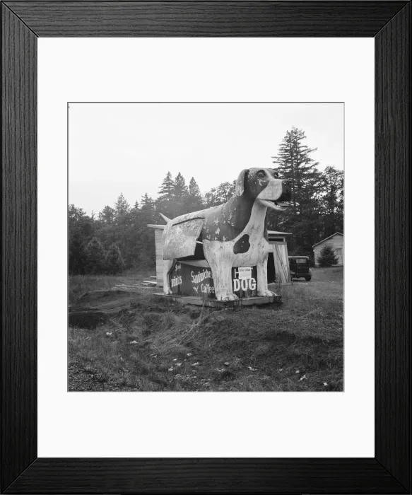 Framed Print : On U. S. 99 as it continues through Oregon, Lane County, Williamette Valley, Oregon, 1939. Creator: Dorothea Lange Framed Print : On U. S. 99 as it continues through Oregon, Lane County, Williamette Valley, Oregon, 1939. Creator: Dorothea Lange