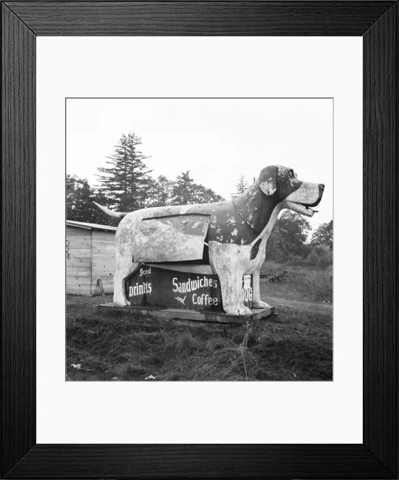Framed Print : On U. S. 99 as it continues through Oregon, Lane County, Williamette Valley, Oregon, 1939. Creator: Dorothea Lange Framed Print : On U. S. 99 as it continues through Oregon, Lane County, Williamette Valley, Oregon, 1939. Creator: Dorothea Lange