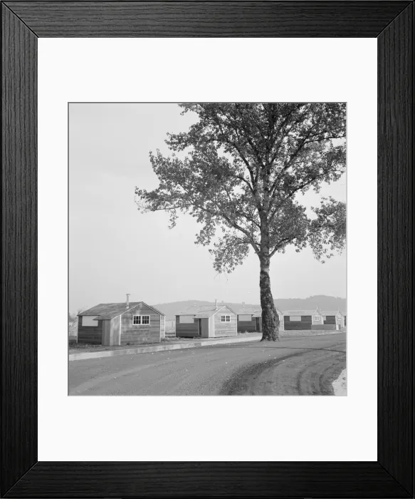 Framed Print : Shows new type of wooden shelter for migratory workers, near McMinnville, Oregon, 1939. Creator: Dorothea Lange Framed Print : Shows new type of wooden shelter for migratory workers, near McMinnville, Oregon, 1939. Creator: Dorothea Lange