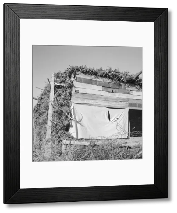 Framed Print : Shows construction of chicken house, sage bush thatched, Dead Ox Flat, Malheur County, Oregon, 1939. Creator: Dorothea Lange Framed Print : Shows construction of chicken house, sage bush thatched, Dead Ox Flat, Malheur County, Oregon, 1939. Creator: Dorothea Lange