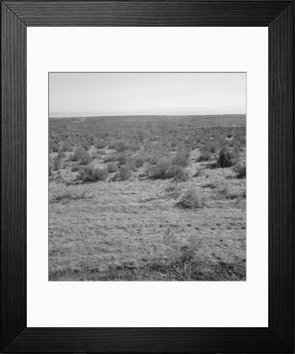 Framed Print : View from the Smiths place across the road, showing uncleared land, Dead Ox Flat, Oregon, 1939. Creator: Dorothea Lange Framed Print : View from the Smiths place across the road, showing uncleared land, Dead Ox Flat, Oregon, 1939. Creator: Dorothea Lange