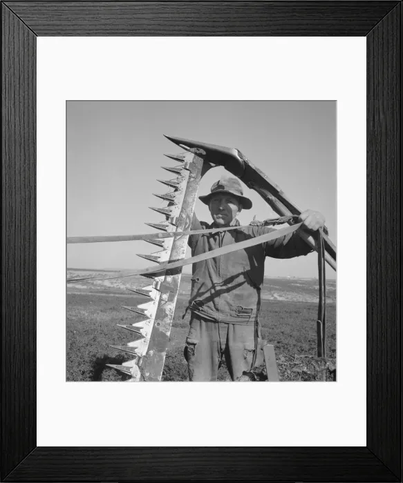 Framed Print : Mr. Browning in his field getting ready to mow hay, Dead Ox Flat, Malheur County, Oregon, 1939. Creator: Dorothea Lange Framed Print : Mr. Browning in his field getting ready to mow hay, Dead Ox Flat, Malheur County, Oregon, 1939. Creator: Dorothea Lange