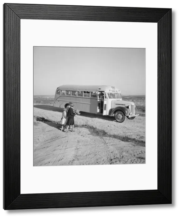 Framed Print : Children get into school bus on a fall morning, Dead Ox Flat, Malheur County, Oregon, 1939 Creator: Dorothea Lange Framed Print : Children get into school bus on a fall morning, Dead Ox Flat, Malheur County, Oregon, 1939 Creator: Dorothea Lange