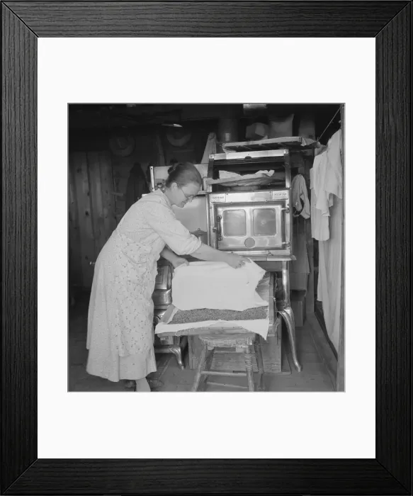 Framed Print : Mrs. Hull drying corn, Dead Ox Flat, Malheur County, Oregon, 1939. Creator: Dorothea Lange Framed Print : Mrs. Hull drying corn, Dead Ox Flat, Malheur County, Oregon, 1939. Creator: Dorothea Lange