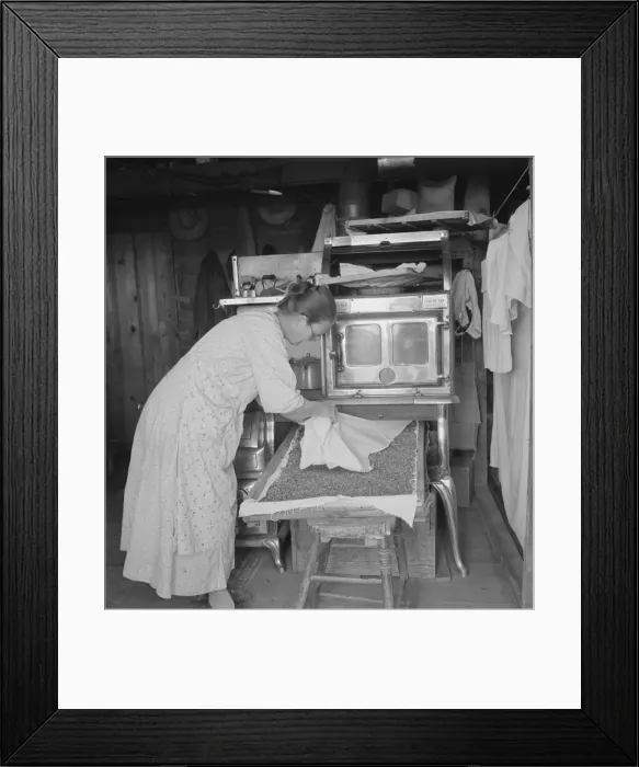 Framed Print : Mrs. Hull drying corn, Dead Ox Flat, Malheur County, Oregon, 1939. Creator: Dorothea Lange Framed Print : Mrs. Hull drying corn, Dead Ox Flat, Malheur County, Oregon, 1939. Creator: Dorothea Lange
