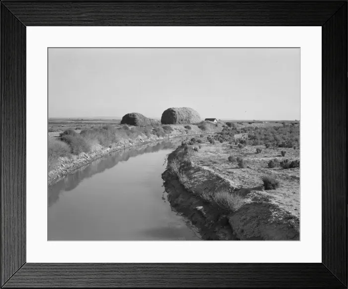 Framed Print : Irrigation canal and the preachers farm, Dead Ox Flat, Malheur County, Oregon, 1939. Creator: Dorothea Lange Framed Print : Irrigation canal and the preachers farm, Dead Ox Flat, Malheur County, Oregon, 1939. Creator: Dorothea Lange