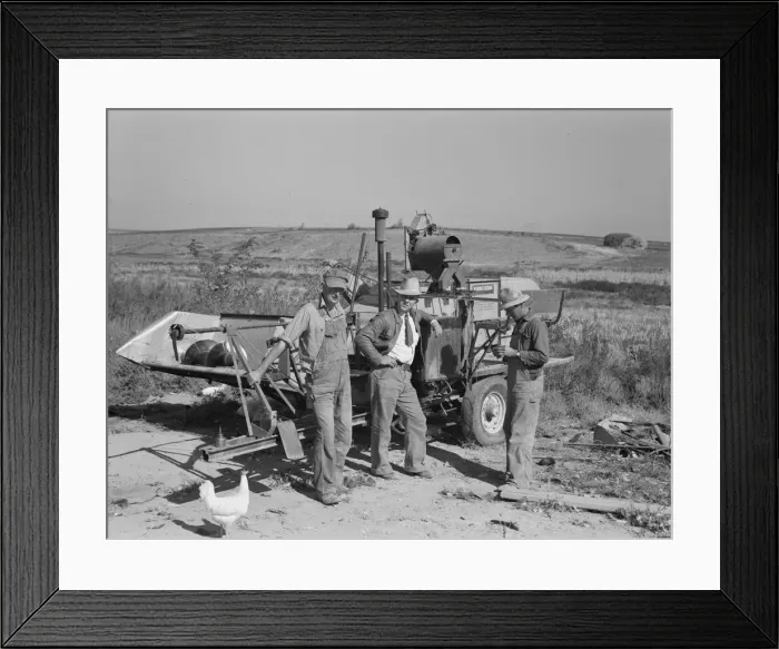 Framed Print : Stephen brothers, Nyssa Heights district, Malheur County, Oregon, 1939. Creator: Dorothea Lange Framed Print : Stephen brothers, Nyssa Heights district, Malheur County, Oregon, 1939. Creator: Dorothea Lange