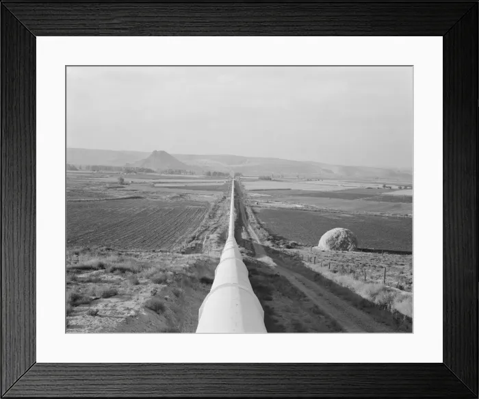 Framed Print : Siphon - the worlds longest - which carries water 5 miles to Dead Ox Flat, Oregon, 1939. Creator: Dorothea Lange Framed Print : Siphon - the worlds longest - which carries water 5 miles to Dead Ox Flat, Oregon, 1939. Creator: Dorothea Lange