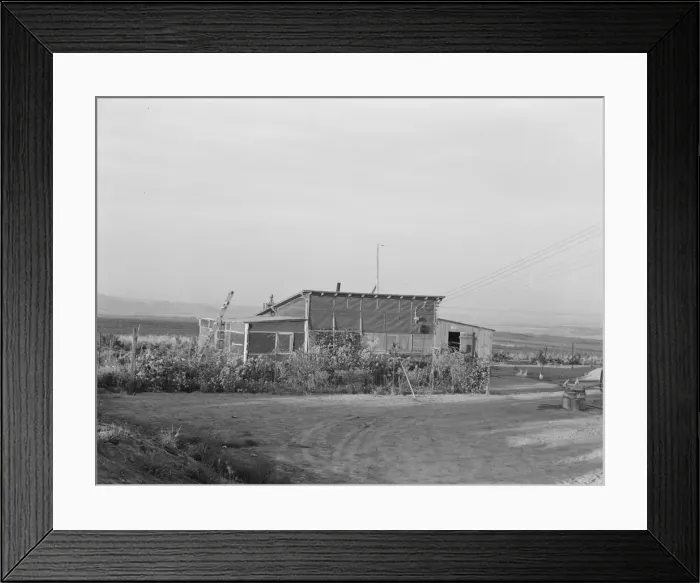 Framed Print : The home of a new farmer who has successfully established himself on the raw land, 1939. Creator: Dorothea Lange