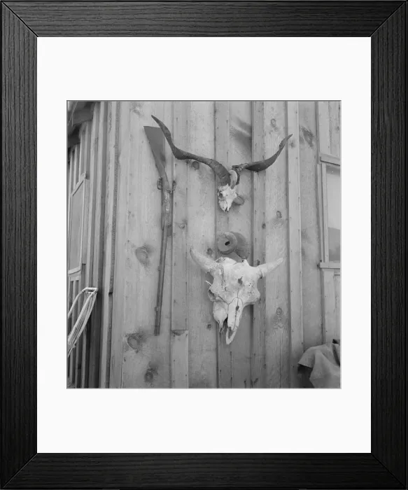 Framed Print : Side of Cates new house, Malheur County, Oregon, 1939. Creator: Dorothea Lange Framed Print : Side of Cates new house, Malheur County, Oregon, 1939. Creator: Dorothea Lange
