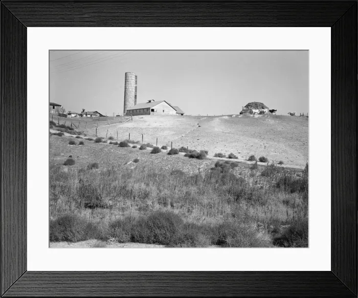 Framed Print : Western Idaho dairy farm, 1939. Creator: Dorothea Lange Framed Print : Western Idaho dairy farm, 1939. Creator: Dorothea Lange