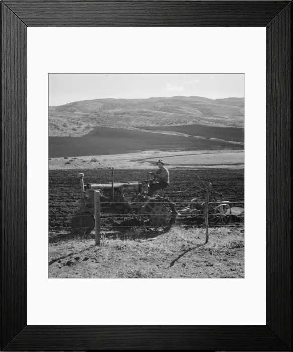 Framed Print : Possibly: Young Idaho farmer plowing in the fall of the year... Gem County, Idaho, 1939. Creator: Dorothea Lange Framed Print : Possibly: Young Idaho farmer plowing in the fall of the year... Gem County, Idaho, 1939. Creator: Dorothea Lange