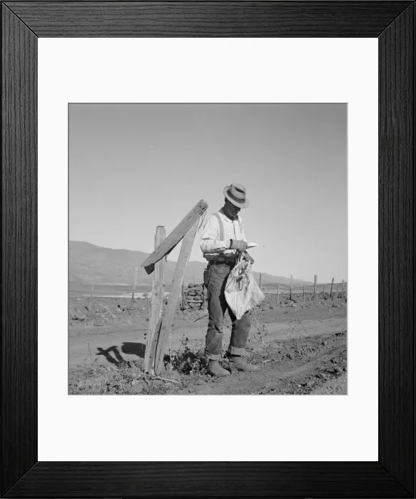 Framed Print : Farmer getting the morning mail, Gem County, Idaho, 1939. Creator: Dorothea Lange Framed Print : Farmer getting the morning mail, Gem County, Idaho, 1939. Creator: Dorothea Lange