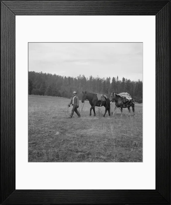 Framed Print : Basque sheep herder leading pack train down from summer camp, Bear Valley, Adams County, Idaho, 1939 Creator: Dorothea Lange Framed Print : Basque sheep herder leading pack train down from summer camp, Bear Valley, Adams County, Idaho, 1939 Creator: Dorothea Lange