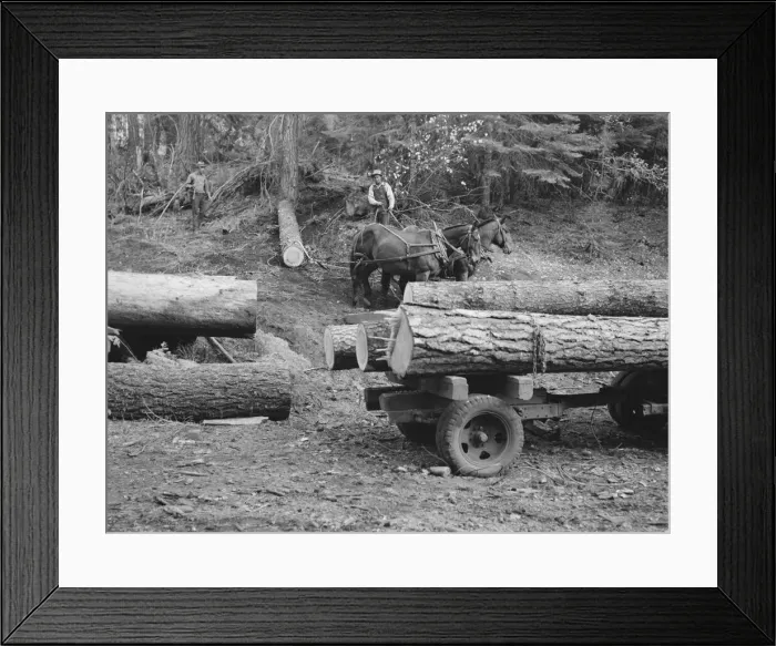 Framed Print : Members of Ola self-help sawmill co-op snaking a fir log down... Gem County, Idaho, 1939. Creator: Dorothea Lange