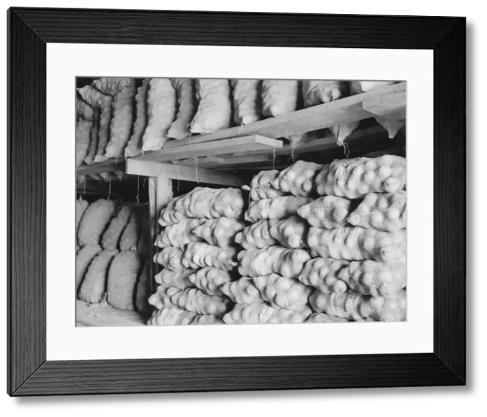 Framed Print : Fifty-pound bags of onions in storage shed, ready for market, Malheur County, Oregon, 1939. Creator: Dorothea Lange Framed Print : Fifty-pound bags of onions in storage shed, ready for market, Malheur County, Oregon, 1939. Creator: Dorothea Lange