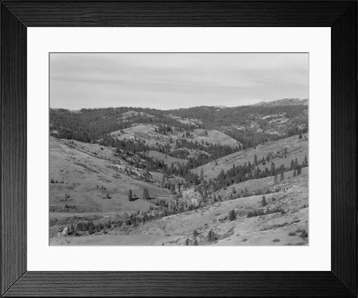 Framed Print : Upper end of Squaw Creek Valley... Ola self-help sawmill co-op, Gem County, Idaho, 1939. Creator: Dorothea Lange Framed Print : Upper end of Squaw Creek Valley... Ola self-help sawmill co-op, Gem County, Idaho, 1939. Creator: Dorothea Lange