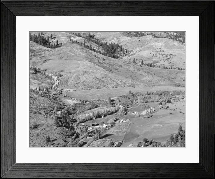 Framed Print : Possibly: Looking down on Ola self-help co-op mill showing the upper end... Gem County, Idaho, 1939 Creator: Dorothea Lange Framed Print : Possibly: Looking down on Ola self-help co-op mill showing the upper end... Gem County, Idaho, 1939 Creator: Dorothea Lange