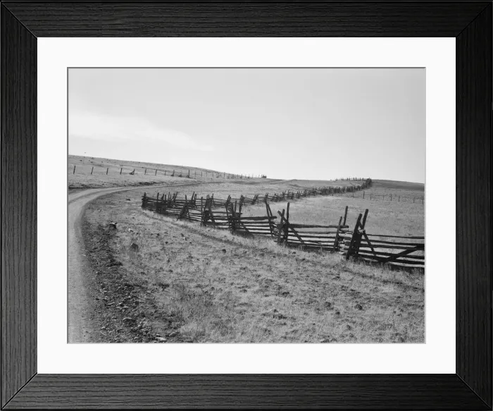 Framed Print : Road going up Squaw Creek Valley, leaving Ola, Ola self-help sawmill co-op, Gem County, Idaho, 1939. Creator: Dorothea Lange Framed Print : Road going up Squaw Creek Valley, leaving Ola, Ola self-help sawmill co-op, Gem County, Idaho, 1939. Creator: Dorothea Lange