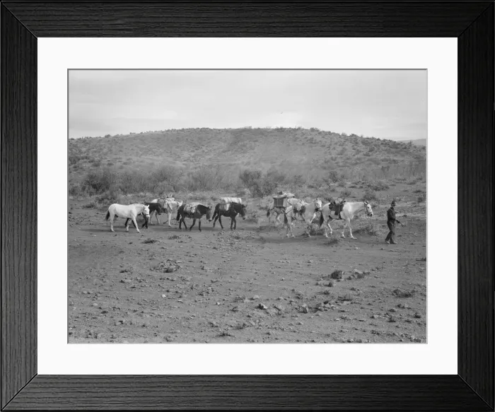 Framed Print : Sheep herders pack train coming down from summer camp, Washington County, Idaho, 1939. Creator: Dorothea Lange Framed Print : Sheep herders pack train coming down from summer camp, Washington County, Idaho, 1939. Creator: Dorothea Lange