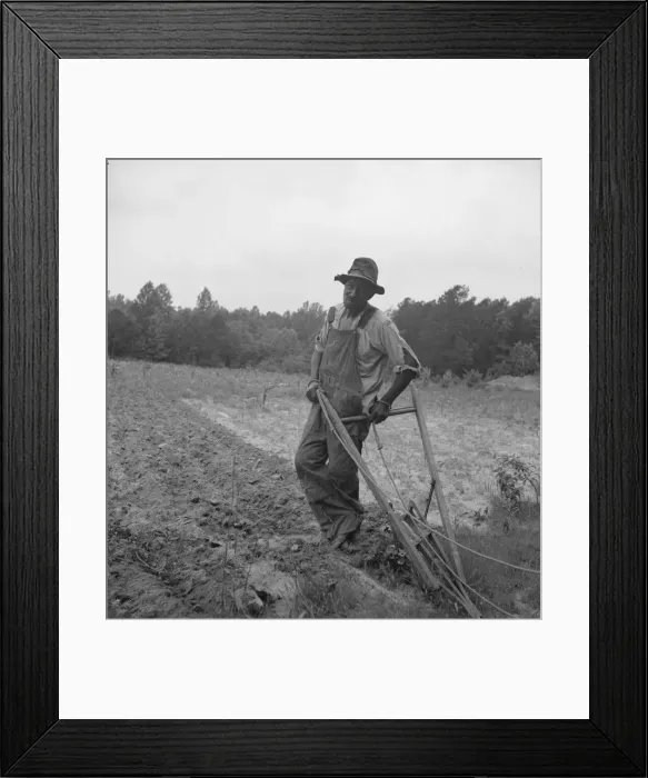 Framed Print : Negro plowing corn, on dirt road from Highway 144, Person County, North Carolina, 1939. Creator: Dorothea Lange Framed Print : Negro plowing corn, on dirt road from Highway 144, Person County, North Carolina, 1939. Creator: Dorothea Lange