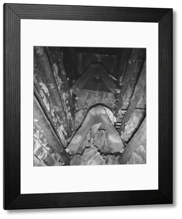Framed Print : Son of tenant farmer hanging up strung tobacco... Shoofly, North Carolina, 1939. Creator: Dorothea Lange Framed Print : Son of tenant farmer hanging up strung tobacco... Shoofly, North Carolina, 1939. Creator: Dorothea Lange