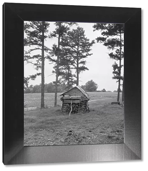 Henhouse on Negro tobacco farm, Person County, North Carolina, 1939. Creator: Dorothea Lange