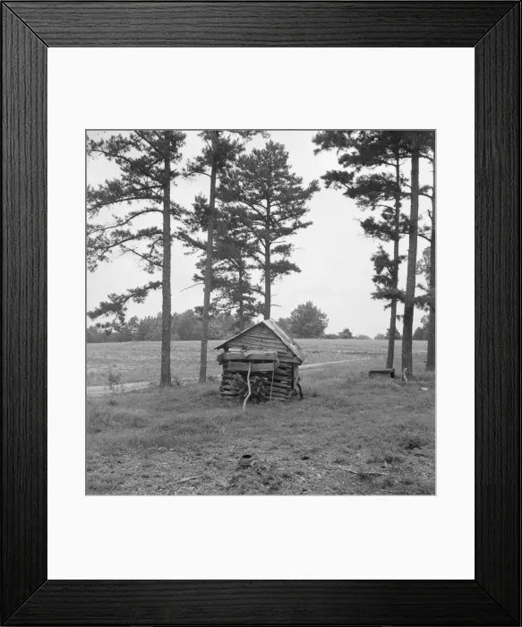Framed Print : Henhouse on Negro tobacco farm, Person County, North Carolina, 1939. Creator: Dorothea Lange Framed Print : Henhouse on Negro tobacco farm, Person County, North Carolina, 1939. Creator: Dorothea Lange