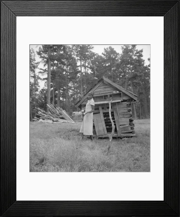 Framed Print : Tobacco sharecroppers daughter getting eggs from hens nest... Person County, North Carolina, 1939 Creator: Dorothea Lange Framed Print : Tobacco sharecroppers daughter getting eggs from hens nest... Person County, North Carolina, 1939 Creator: Dorothea Lange