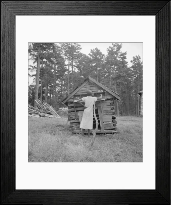 Framed Print : Tobacco sharecroppers daughter getting eggs... Person County, North Carolina, 1939. Creator: Dorothea Lange Framed Print : Tobacco sharecroppers daughter getting eggs... Person County, North Carolina, 1939. Creator: Dorothea Lange
