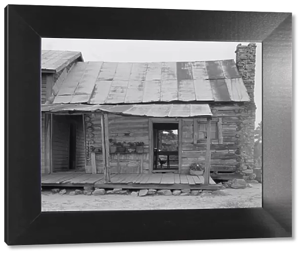 Negro sharecropper house on dirt, near Olive Hill, North Carolina, 1939. Creator: Dorothea Lange