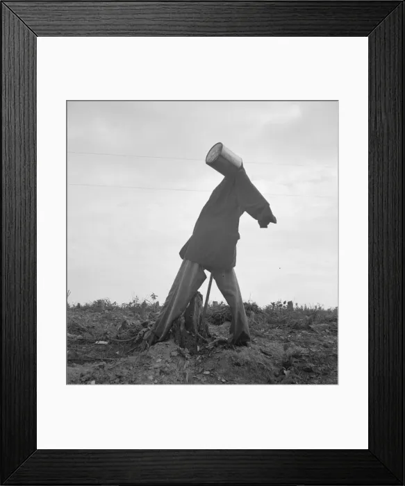Framed Print : Scarecrow on a newly cleared field with stumps near Roxboro, North Carolina, 1939. Creator: Dorothea Lange