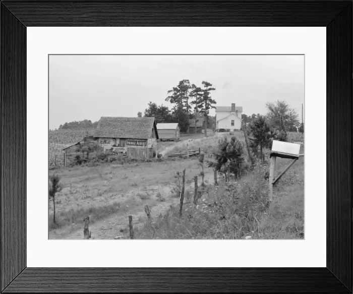 Framed Print : General view of a hillside farm which faces the road... Person County, North Carolina, 1939. Creator: Dorothea Lange Framed Print : General view of a hillside farm which faces the road... Person County, North Carolina, 1939. Creator: Dorothea Lange