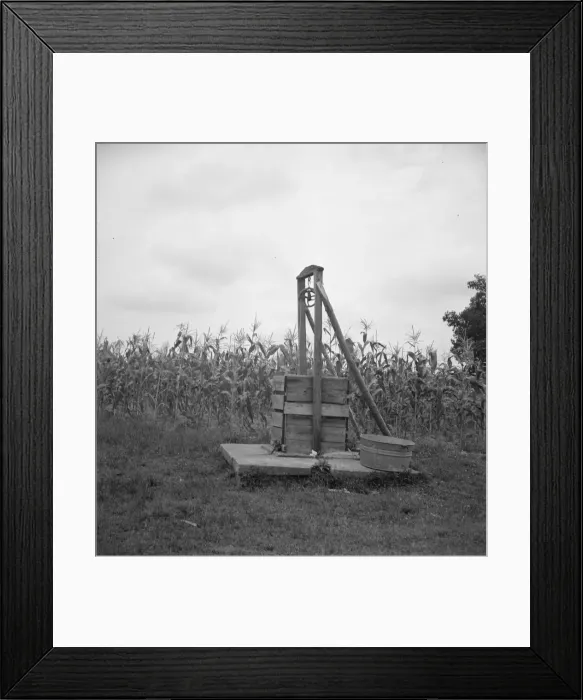 Framed Print : Negro sharecropper tobacco farm, Person County, North Carolina, 1939. Creator: Dorothea Lange Framed Print : Negro sharecropper tobacco farm, Person County, North Carolina, 1939. Creator: Dorothea Lange