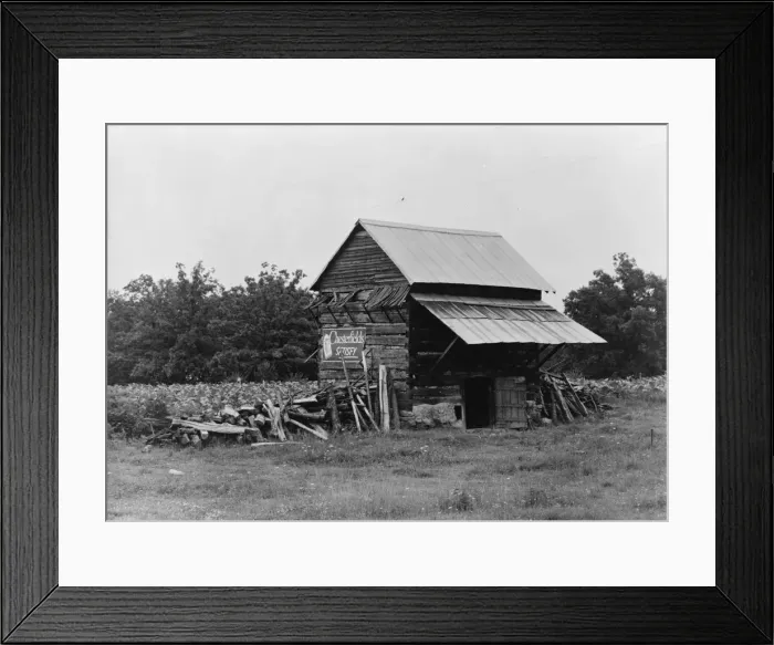 Framed Print : The tobacco barn, a distinctive American architectural form, Person County, North Carolina, 1939. Creator: Dorothea Lange Framed Print : The tobacco barn, a distinctive American architectural form, Person County, North Carolina, 1939. Creator: Dorothea Lange