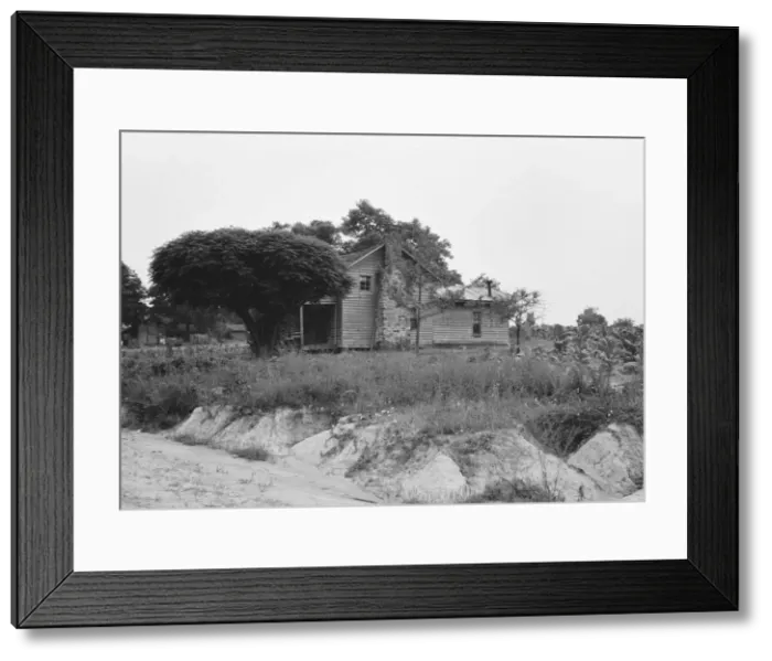 Framed Print : Story-and-a-half weatherboard house, Person County, North Carolina, 1939. Creator: Dorothea Lange Framed Print : Story-and-a-half weatherboard house, Person County, North Carolina, 1939. Creator: Dorothea Lange