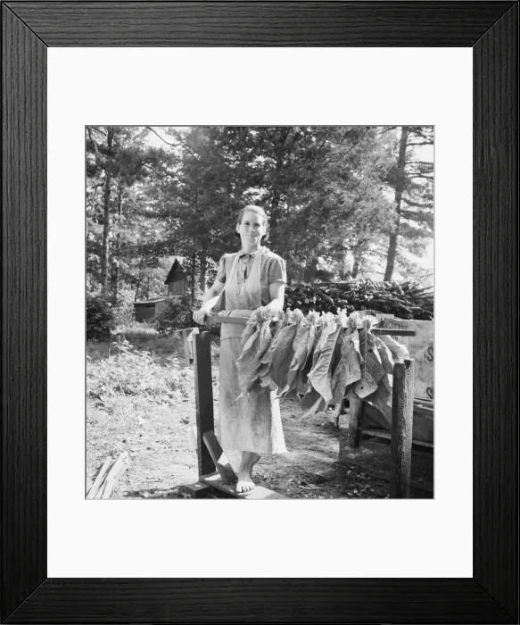 Framed Print : Wife of tenant farmer, Mrs. Oakley, works... Granville County, North Carolina, 1939. Creator: Dorothea Lange Framed Print : Wife of tenant farmer, Mrs. Oakley, works... Granville County, North Carolina, 1939. Creator: Dorothea Lange