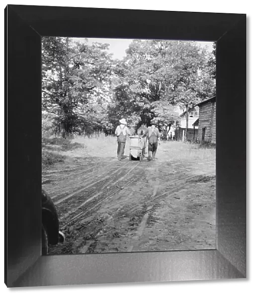 Mr. Taylor and wage laborer slide tobacco... Granville County, North Carolina, 1939. Creator: Dorothea Lange