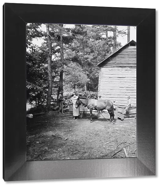 Possibly: Young son of tenant farmer gathering sticks... Granville County, North Carolina, 1939. Creator: Dorothea Lange