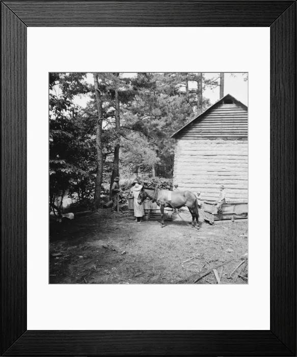 Framed Print : Possibly: Young son of tenant farmer gathering sticks... Granville County, North Carolina, 1939. Creator: Dorothea Lange Framed Print : Possibly: Young son of tenant farmer gathering sticks... Granville County, North Carolina, 1939. Creator: Dorothea Lange