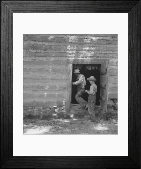 Framed Print : Coming out of tobacco barn in which tobacco is being cured, Granville County, North Carolina, 1939. Creator: Dorothea Lange Framed Print : Coming out of tobacco barn in which tobacco is being cured, Granville County, North Carolina, 1939. Creator: Dorothea Lange