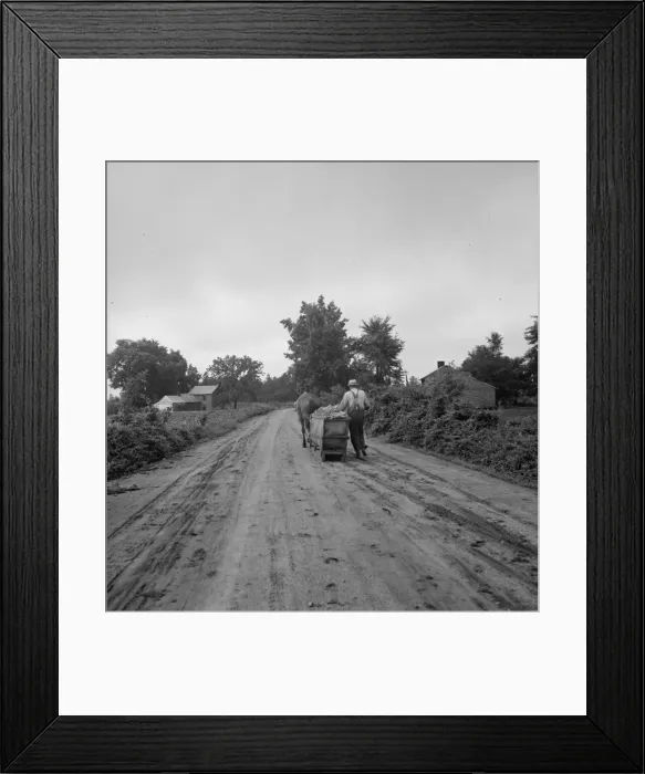 Framed Print : Mr. Taylor and wage laborer slide the tobacco to barn... Granville County, North Carolina, 1939. Creator: Dorothea Lange Framed Print : Mr. Taylor and wage laborer slide the tobacco to barn... Granville County, North Carolina, 1939. Creator: Dorothea Lange