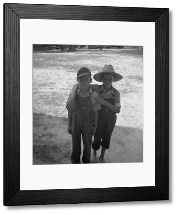 Framed Print : Young farm boys, natives of North Carolina, Person County, North Carolina, 1939. Creator: Dorothea Lange Framed Print : Young farm boys, natives of North Carolina, Person County, North Carolina, 1939. Creator: Dorothea Lange