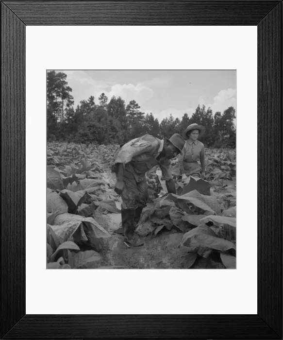 Framed Print : Possibly: Negro tenants... and white owners children... Granville County, North Carolina, 1939. Creator: Dorothea Lange Framed Print : Possibly: Negro tenants... and white owners children... Granville County, North Carolina, 1939. Creator: Dorothea Lange